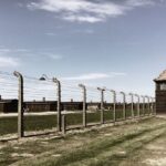 Auschwitz Birkenau: Complete Private Tour - Who Will Benefit Most?
