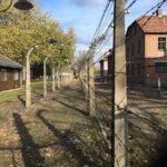Auschwitz-Birkenau Day Tour from Wroclaw - The Sum Up: Who Should Consider This Tour?