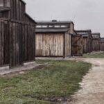 Auschwitz-Birkenau: Entrance Ticket and Live Tour Guide - A Deep Dive into the Experience