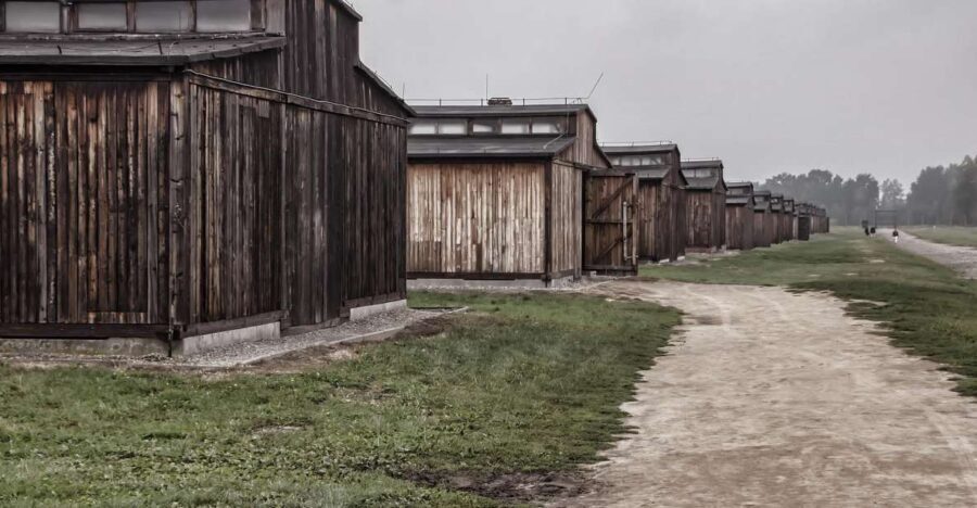 Auschwitz-Birkenau: Entrance Ticket and Live Tour Guide - A Deep Dive into the Experience