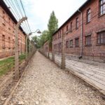 Auschwitz-Birkenau: Fast-Track Ticket & Guided Tour No Transfers - Who should consider this tour?