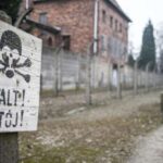 Auschwitz-Birkenau Full-Day Tour from Lodz by Private Car - Who Should Consider This Tour?
