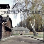 Auschwitz-Birkenau Guided Tour by Private Transport from Krakow - Who Should Consider This Tour?