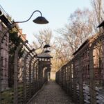 Auschwitz-Birkenau Guided Tour from Krakow with Hotel Pickup - Who Should Consider This Tour?