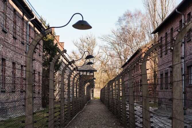 Auschwitz-Birkenau Guided Tour from Krakow with Hotel Pickup - Who Should Consider This Tour?