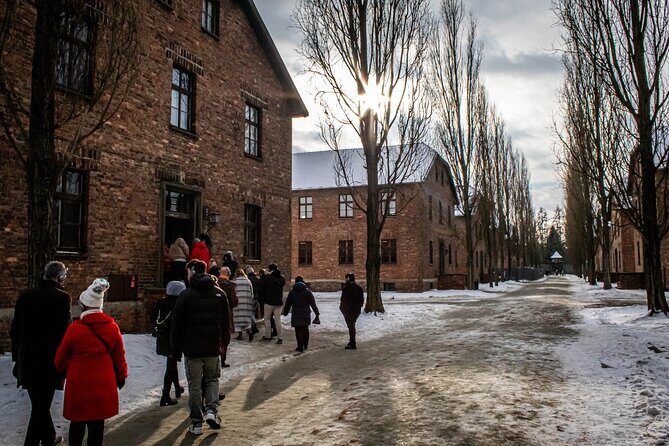 Auschwitz-Birkenau Guided Tour from Krakow with Transfer & Ticket - Experience Overview