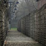 Auschwitz-Birkenau Guided Tour & Transfer from Krakow - The Sum Up