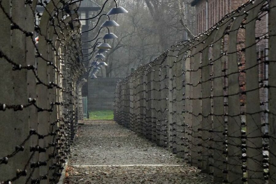 Auschwitz-Birkenau Guided Tour & Transfer from Krakow - The Sum Up
