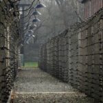 Auschwitz-Birkenau last minute guided Tour - Final Thoughts: Is This Tour Right for You?