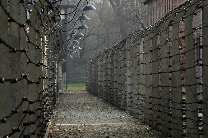 Auschwitz-Birkenau last minute guided Tour - Final Thoughts: Is This Tour Right for You?