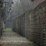 Auschwitz & Birkenau: Live-Guided Tour with Transportation and Hotel Pickup - The Sum Up