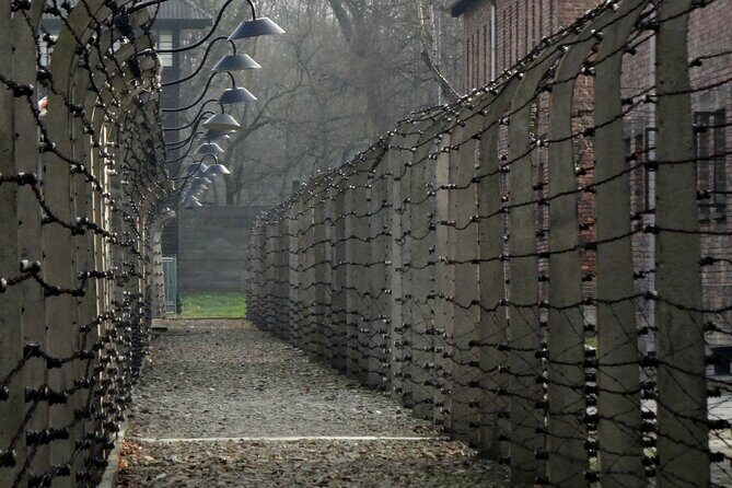 Auschwitz & Birkenau: Live-Guided Tour with Transportation and Hotel Pickup - The Sum Up