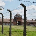 Auschwitz Birkenau Memorial and Museum group tour from Krakow - The Power of Guided Narration