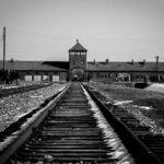 Auschwitz-Birkenau Memorial and Museum with Private Transfers from Krakow - Who Should Consider This Tour?