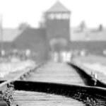 Auschwitz-Birkenau: Memorial Entry Ticket and Guided Tour - Transportation, Timing, and Practicalities