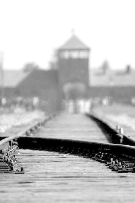 Auschwitz-Birkenau: Memorial Entry Ticket and Guided Tour