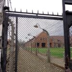 Auschwitz-Birkenau Museum Half-Day Bus Tour from Krakow - Who Should Consider This Tour?