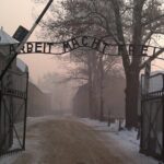 Auschwitz-Birkenau Museum Tour from Krakow - What Makes This Tour Valuable?