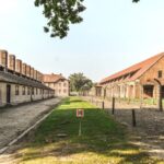 Auschwitz-Birkenau Museum Tour from Krakow - Who Would Benefit from This Tour?