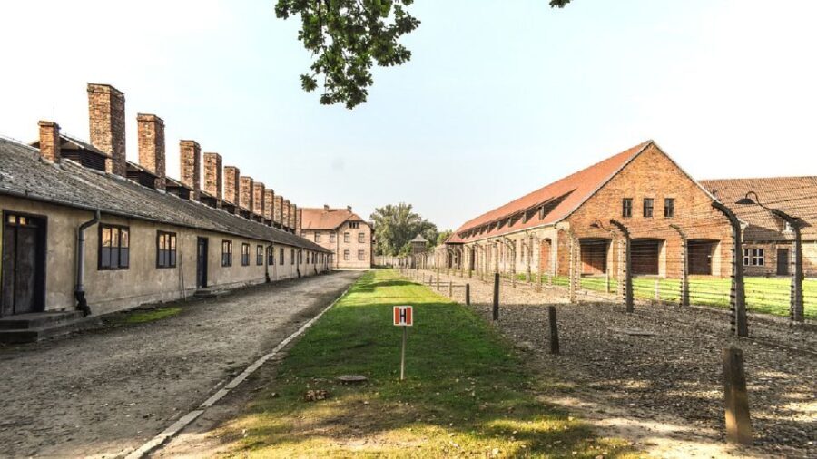 Auschwitz-Birkenau Museum Tour from Krakow - Who Would Benefit from This Tour?