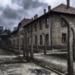 Auschwitz - Birkenau Private, 6-hr Study Tour - Why This Tour Offers Great Value