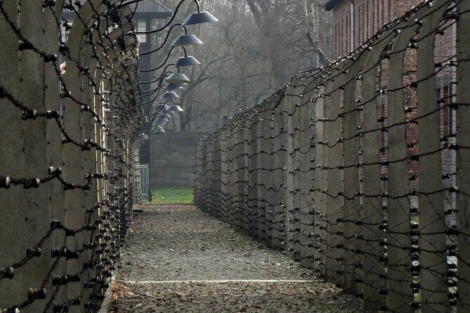 Auschwitz-Birkenau Private Tour from Krakow - Final Thoughts