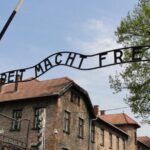 Auschwitz Birkenau Round Transfer, Private Driver from Krakow - The Sum Up