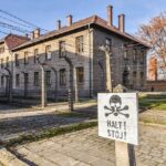 Auschwitz-Birkenau & Salt Mine Day tour - Exploring the Experience: What to Expect on the Tour