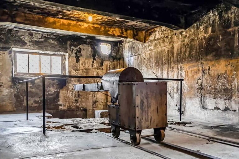 Auschwitz-Birkenau Skip-the-Line Guided Tour - The Meeting Point and Initial Steps