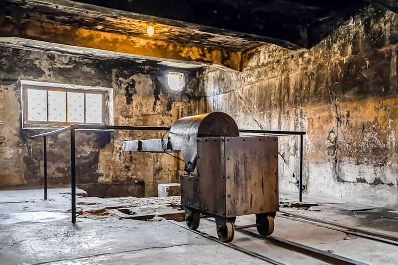 Auschwitz-Birkenau Skip-the-Line Guided Tour - The Meeting Point and Initial Steps