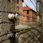 Auschwitz-Birkenau Skip-the-Line Ticket and Guided Tour - A Closer Look at the Auschwitz-Birkenau Tour