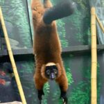 Austin Aquarium Entry Ticket - Final Thoughts: Who Would Love the Austin Aquarium?
