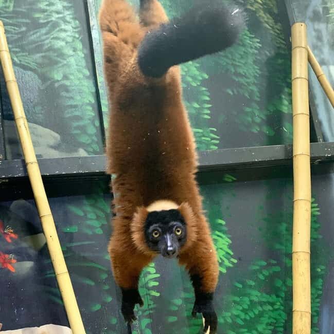 Austin Aquarium Entry Ticket - Final Thoughts: Who Would Love the Austin Aquarium?