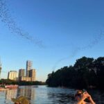 Austin: Bat Bridge Sunset Kayak Tour - The Sum Up