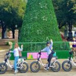 Austin Good Vibes E-Bike Tours - Who Will Love This Tour?