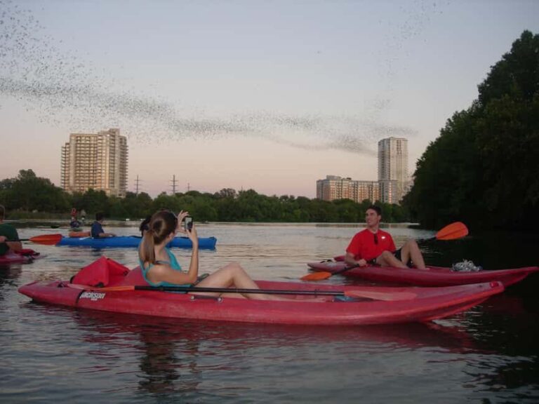 Austin: Guided Bat-Watching Kayak Tour - Analyzing the Value