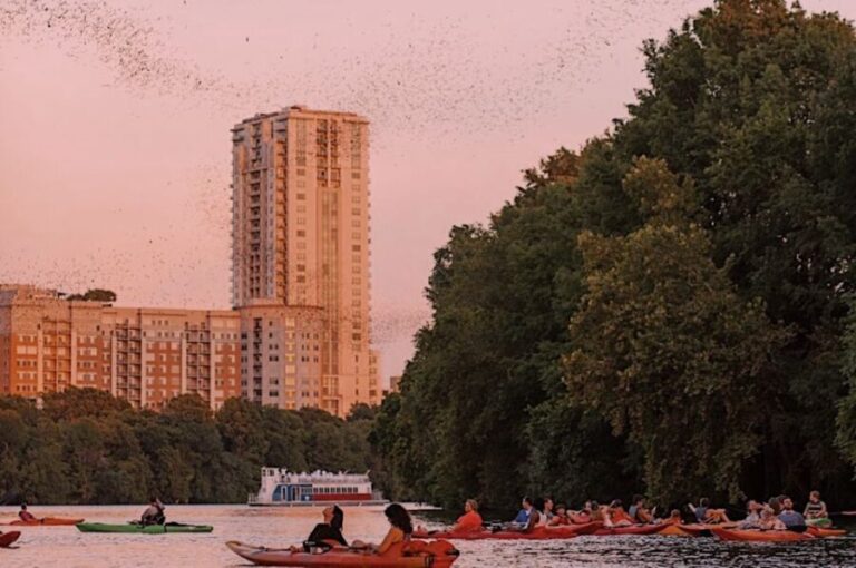 Austin: Sunset Bat Watching Kayak Tour - What Makes This Tour Stand Out