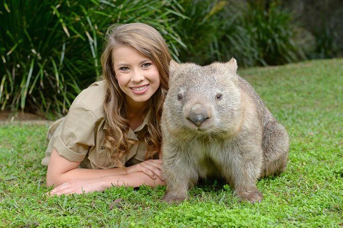 Australia Zoo Day Trip from Brisbane - Who Is This Tour Best For?