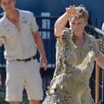 Australia Zoo Day Trip from Noosa /Sunshine Coast Region - Final Thoughts