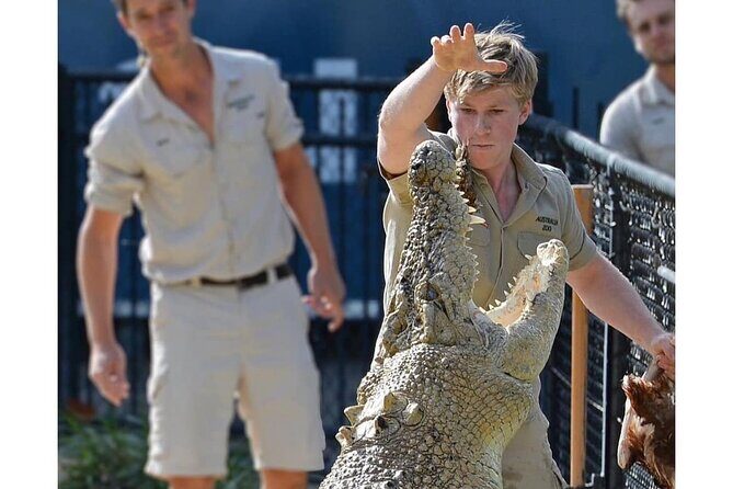 Australia Zoo Day Trip from Noosa /Sunshine Coast Region - Final Thoughts