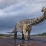 Australian Dinosaur Giants Tour - Who Is This Tour Best For?