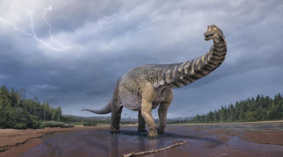 Australian Dinosaur Giants Tour - Who Is This Tour Best For?