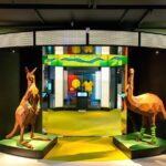 Australian Sports Museum Ticket - Breaking Down the Itinerary