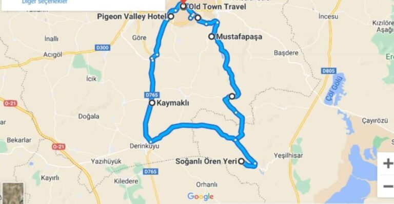 Authentic Anatolian Dinner at the Carpet House - The Menu Options and Their Flavors