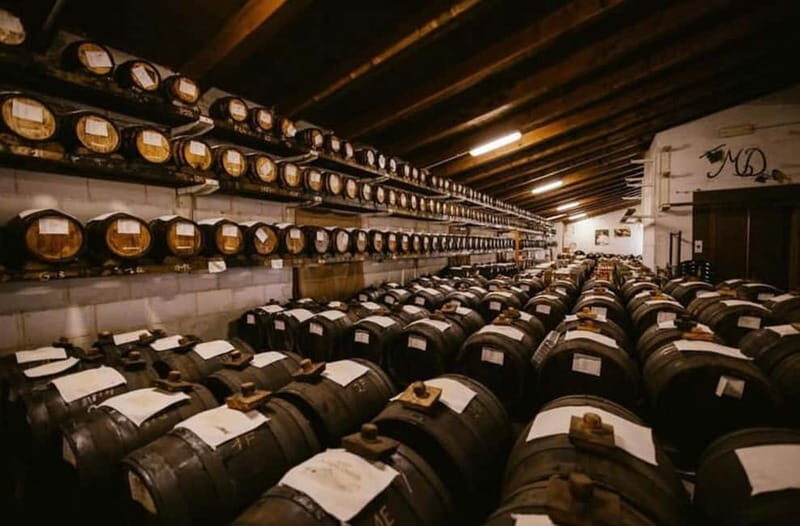 Authentic Balsamic Vinegar Tour & Tasting in Modena - What’s Great About This Tour