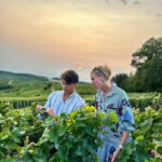 Authentic Champagne Tour: 3 vineyards, 10 Tastings & Lunch - A Deeper Look at the Experience