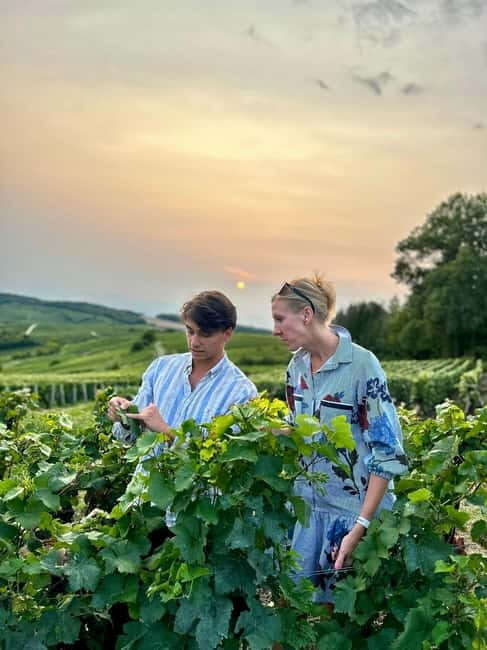 Authentic Champagne Tour: 3 vineyards, 10 Tastings & Lunch - A Deeper Look at the Experience