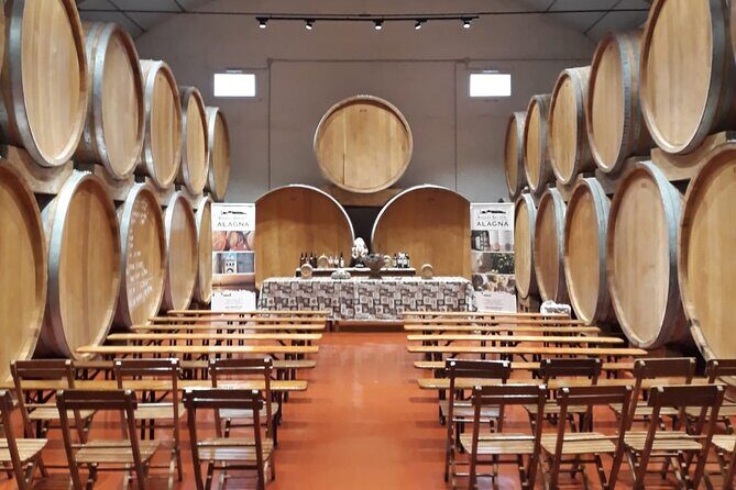 Authentic Marsala Wine Tasting Experience in a Historic Winery - Key Points
