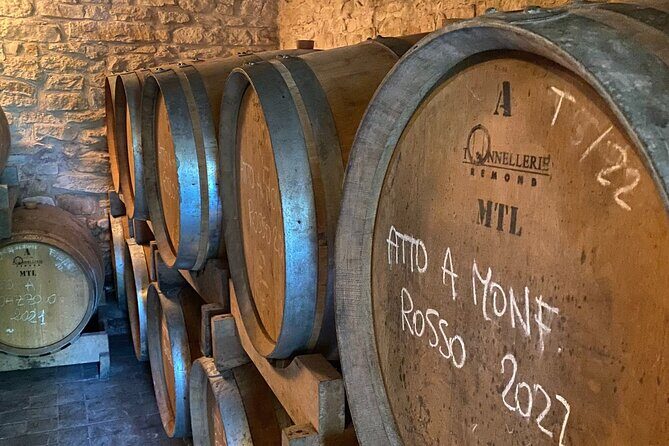 Authentic Piedmont wine tour with a local Sommelier - A Deep Dive Into the Monferrato Wine Tour