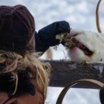 Authentic Reindeer Farm Experience in Rovaniemi - What Sets This Tour Apart?